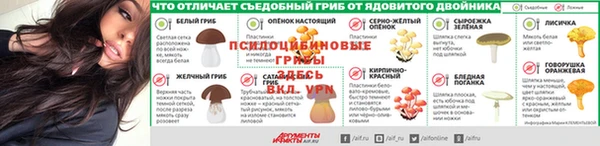 эйфоретик Армянск