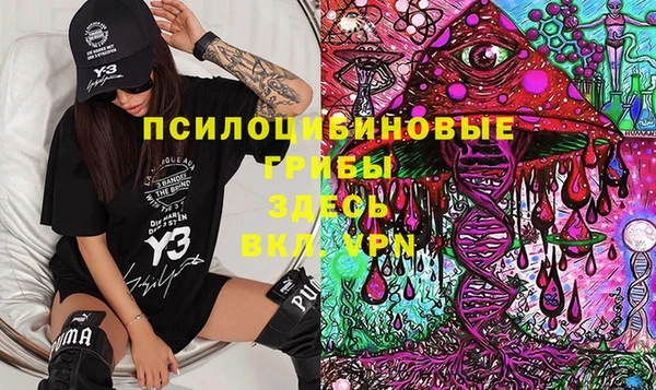 эйфоретик Армянск
