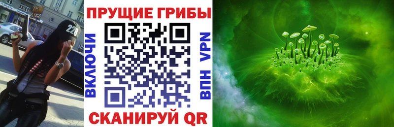 Псилоцибиновые грибы MAGIC MUSHROOMS  KRAKEN сайт  Брянск  купить наркоту 