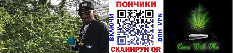 Шишки марихуана планчик Брянск